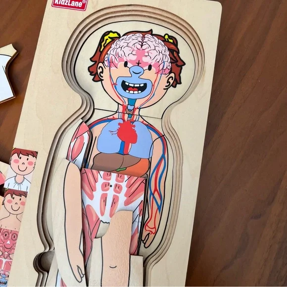 Kids Anatomy Wooden Puzzle Toy - Picture 6 of 7